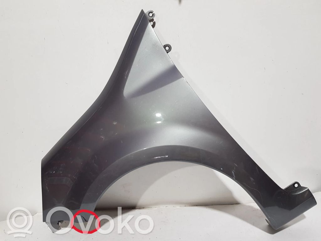 Renault Modus Sparnas 