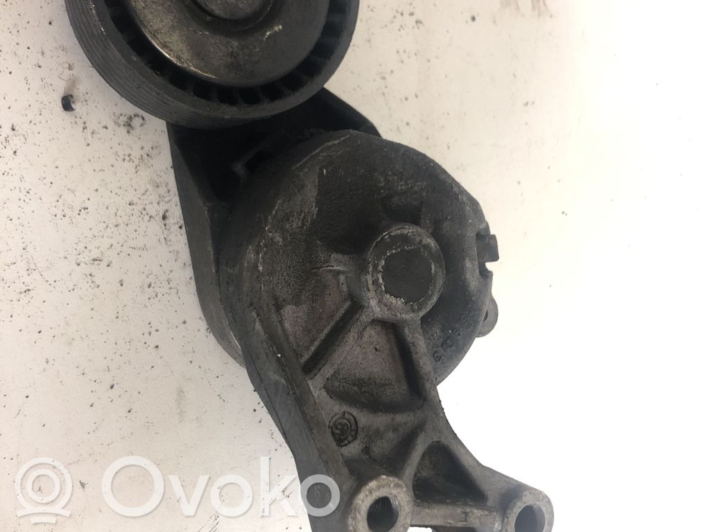 Volkswagen Bora Napinacz paska wielorowkowego / Alternatora 
