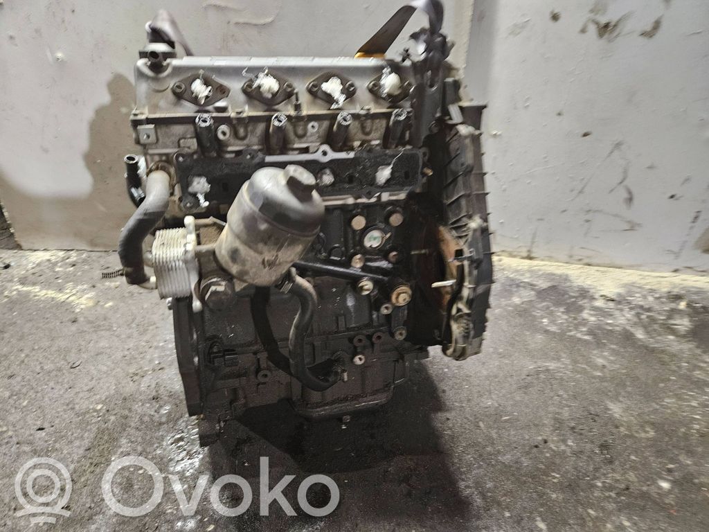 Motor   Y17DT