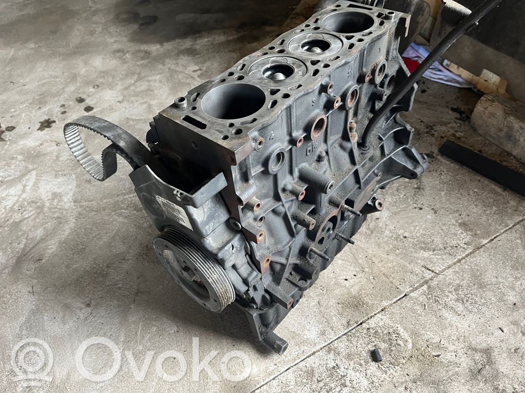 Variklis   D4204T,102274