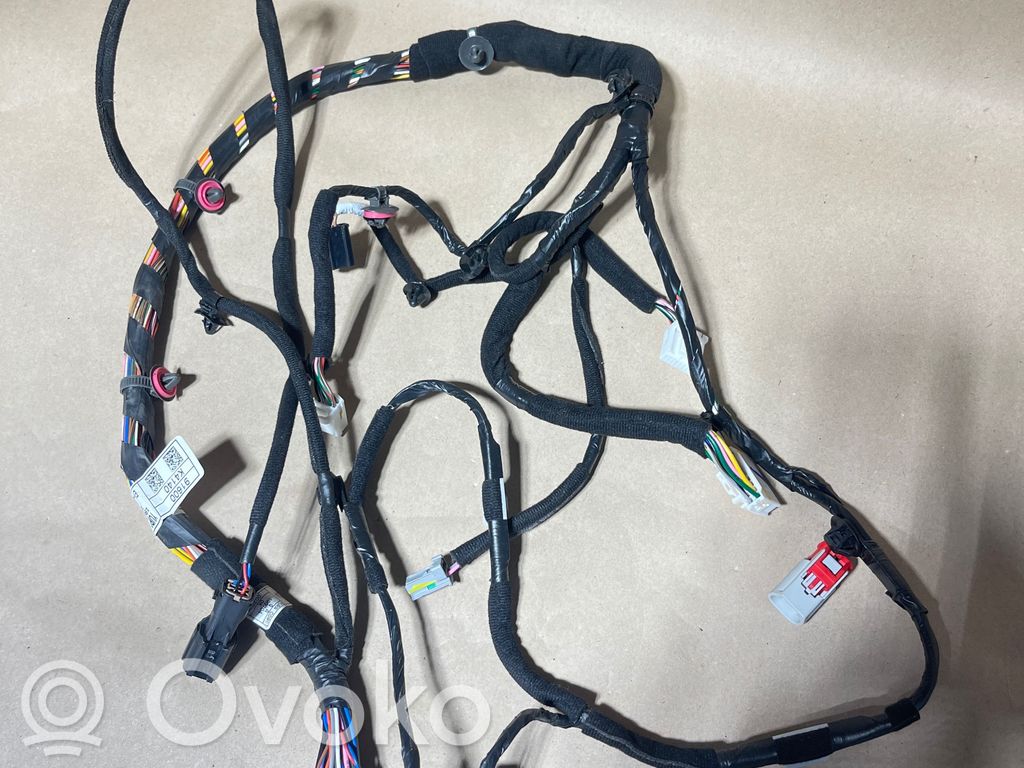 Hyundai Kona I Cableado de puerta delantera 