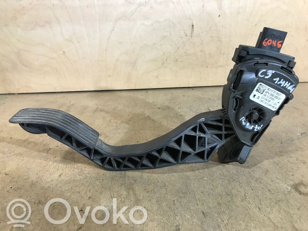 Gaspedal   6PV009083,9651270180