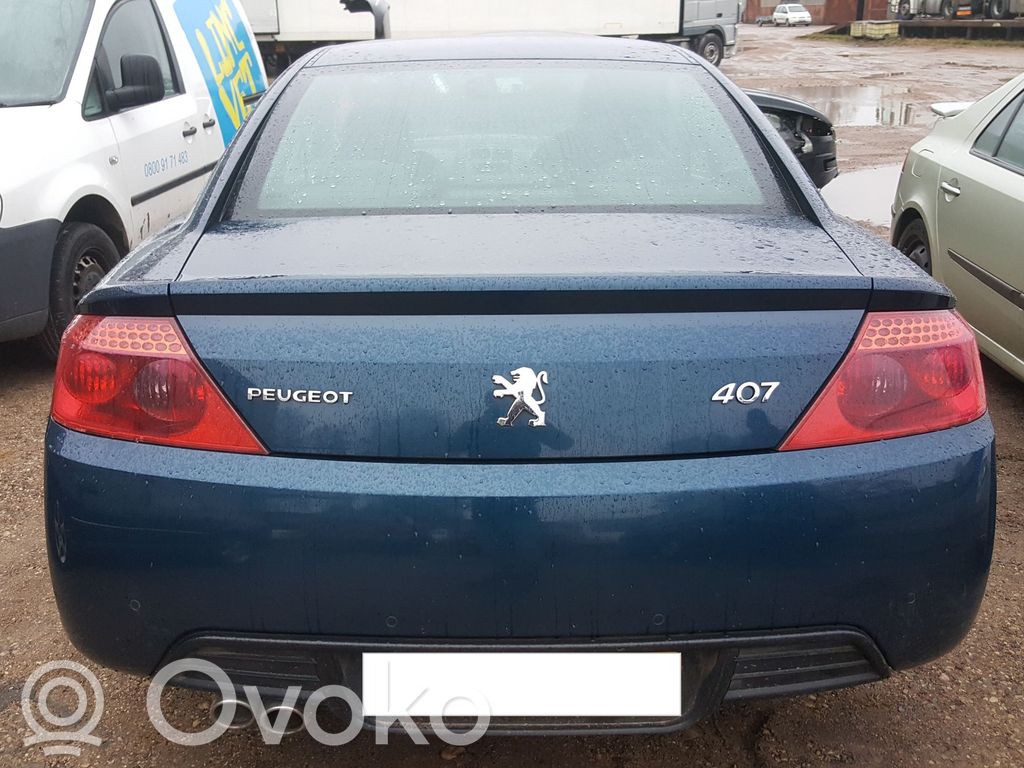 Peugeot 407 Puerta del maletero/compartimento de carga 
