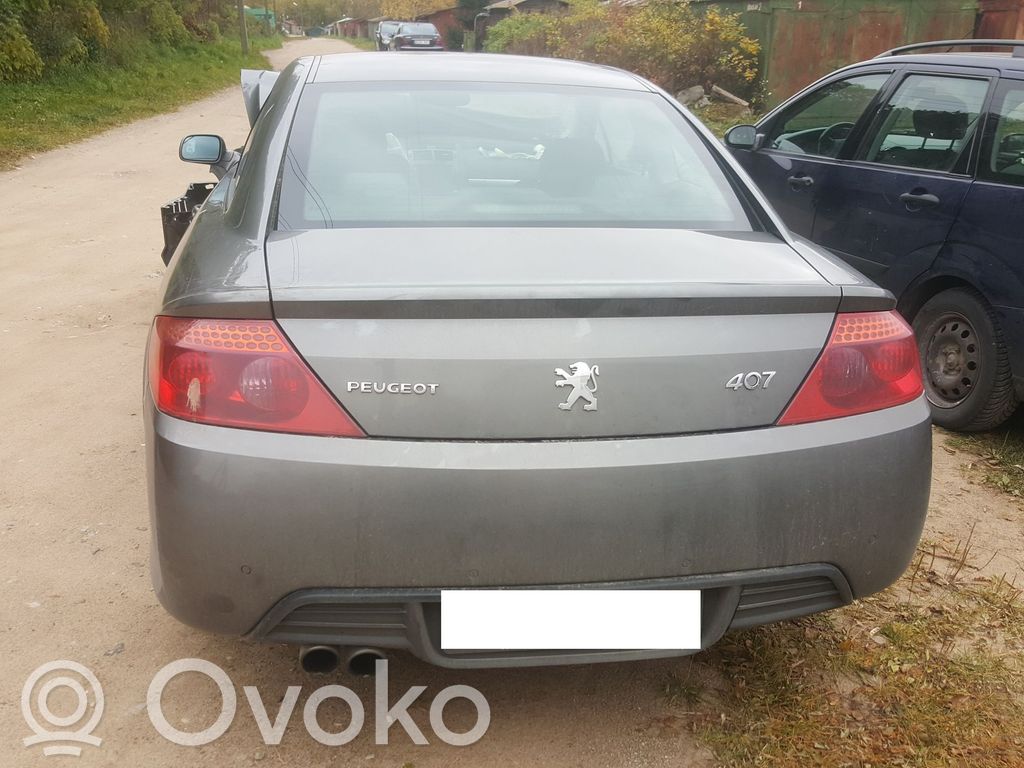 Peugeot 407 Puerta del maletero/compartimento de carga 