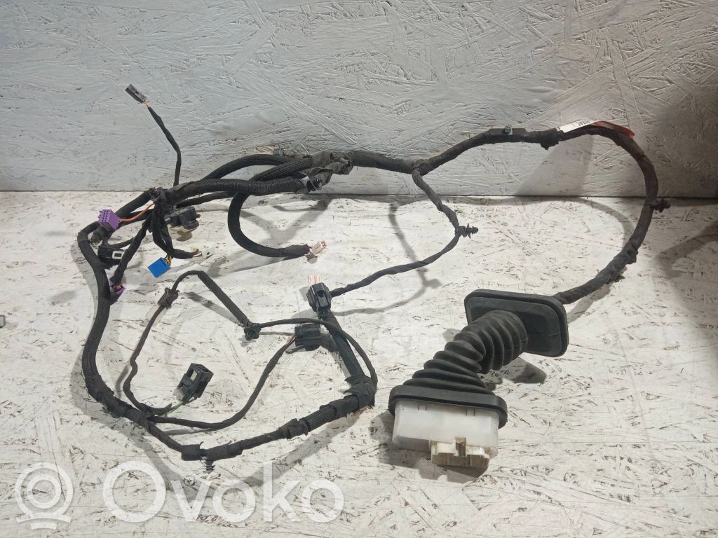 Dodge Challenger Cableado de puerta delantera 