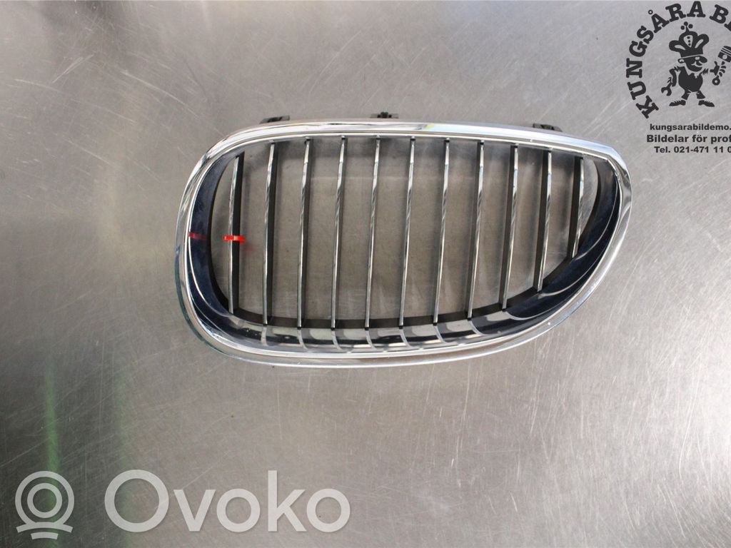 BMW 5 E60 E61 Front bumper lower grill 