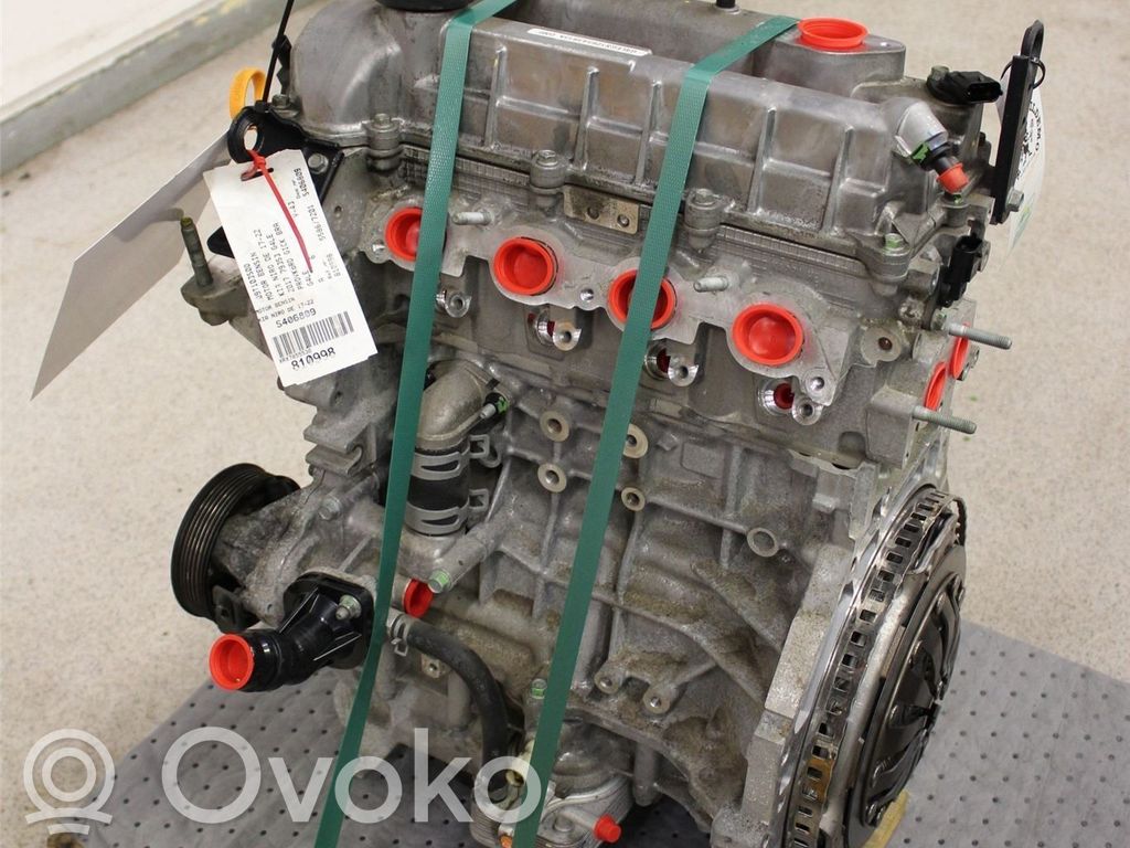 KIA Niro Variklis 