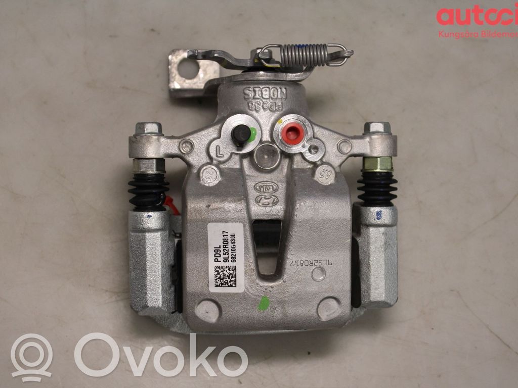 Takajarrusatula   58210G4300,58210G4300,58210G4300