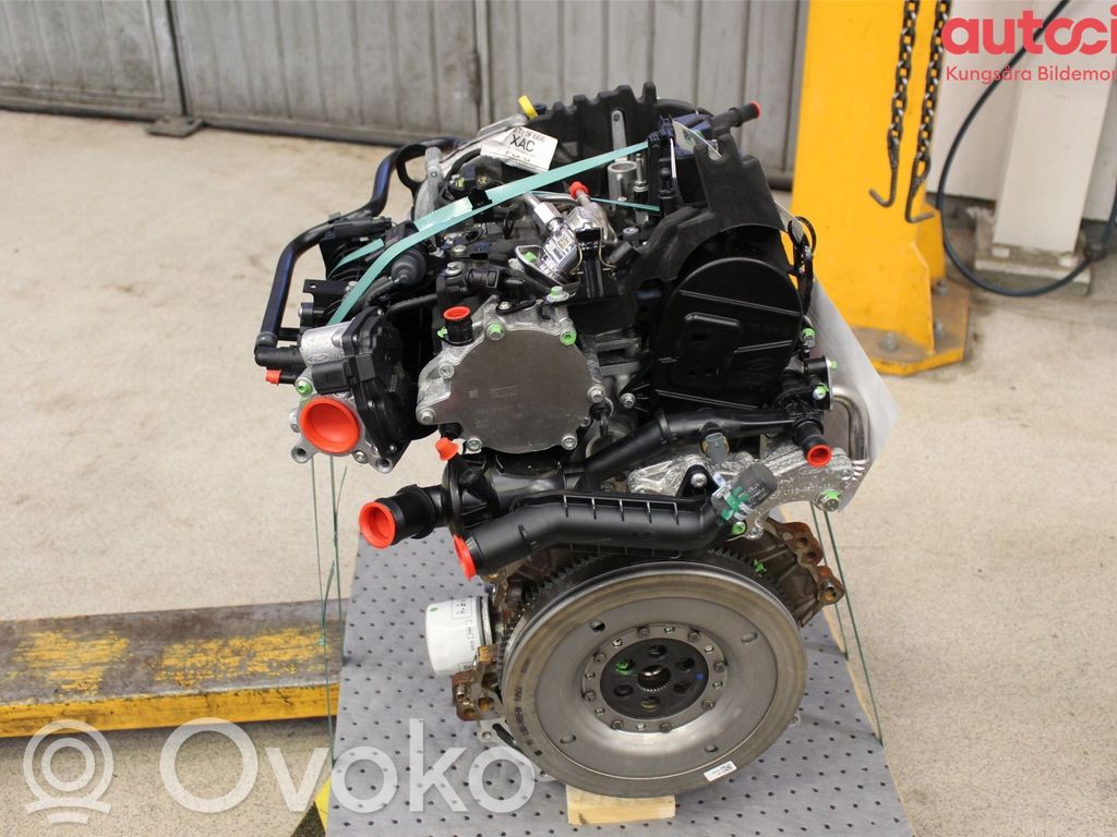 Ford Puma Variklis 