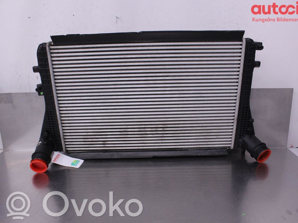 Volkswagen PASSAT B7 Chłodnica powietrza doładowującego / Intercooler 