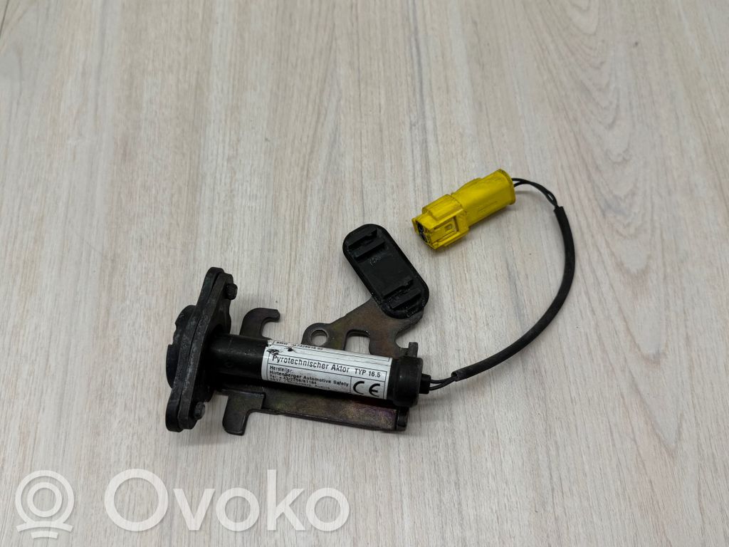 BMW X5 F15 Cerniere del vano motore/cofano 