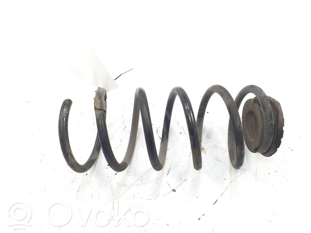 Rear coil spring