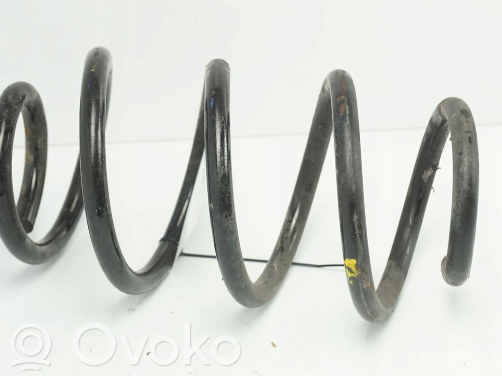 Rear coil spring