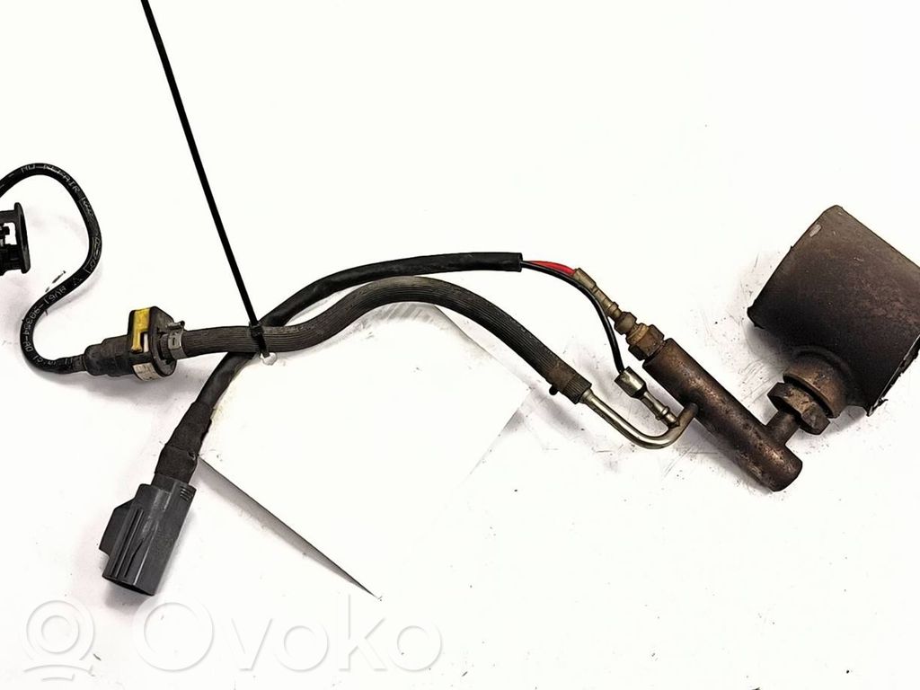 Ford C-MAX II Išmetamųjų dujų temperatūros daviklis 