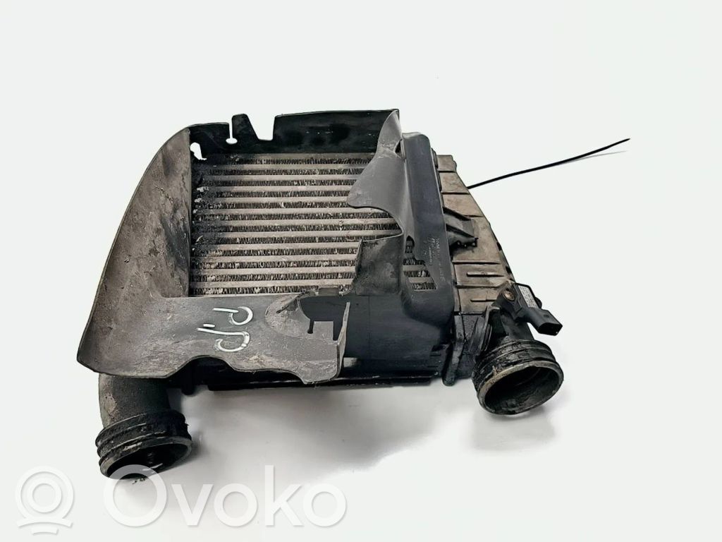 Interkūlerio radiatorius   3D0145804