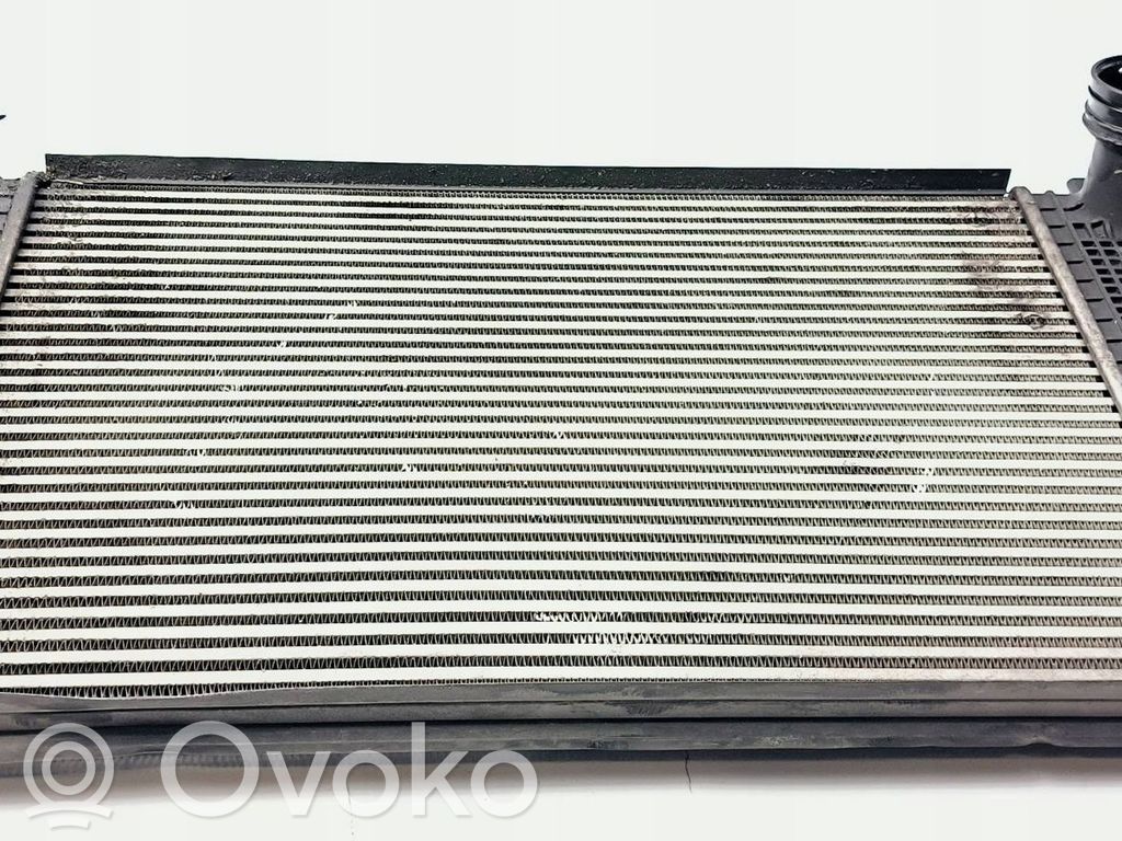 Skoda Octavia Mk2 (1Z) Ladeluftkühler 