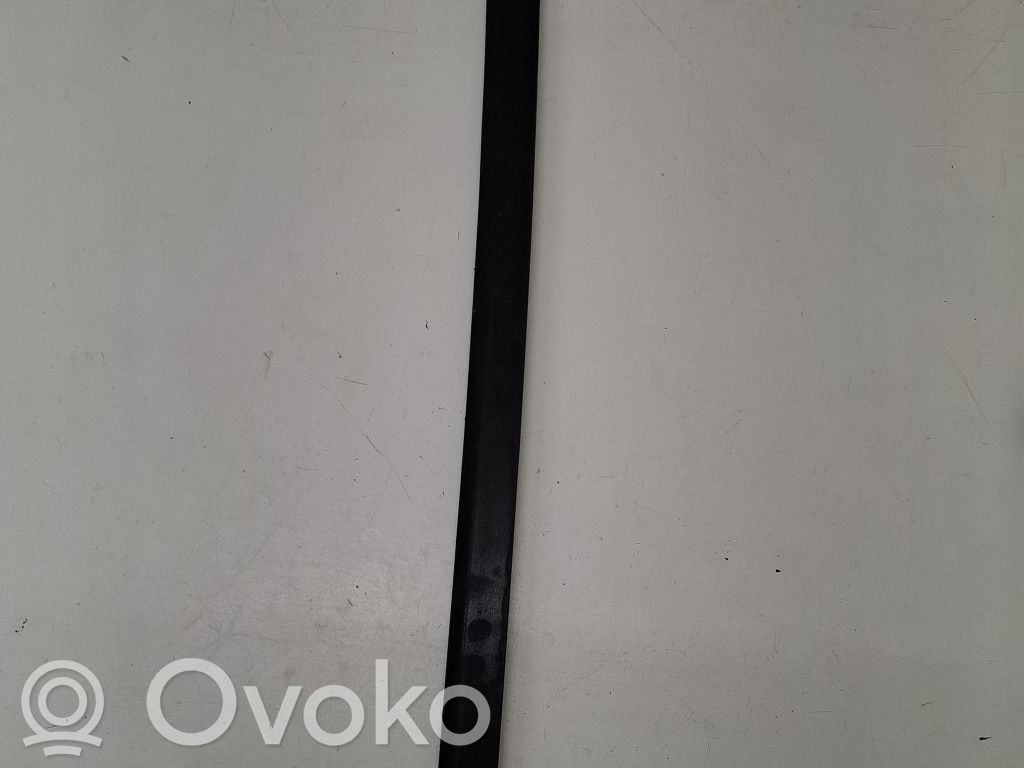 Volkswagen PASSAT B6 Передняя отделка дверей (молдинги) 