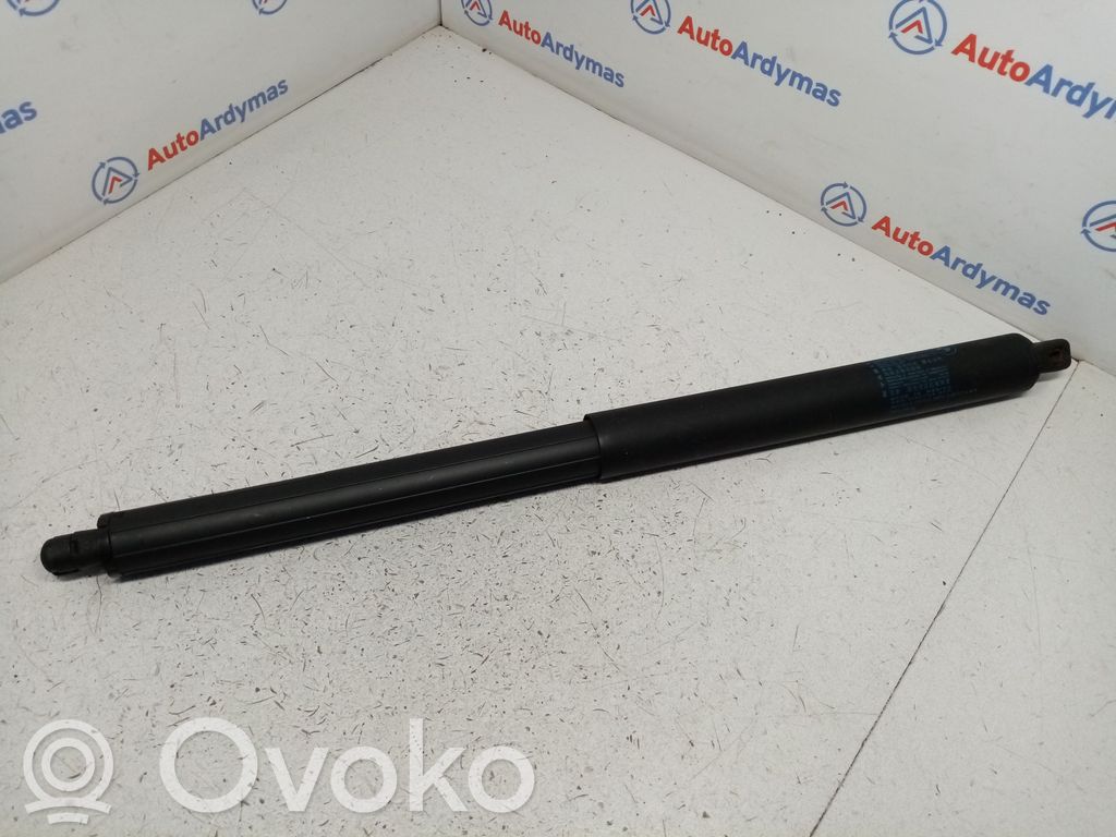 Tailgate/trunk strut/damper   7294199,51247294199,51247177283