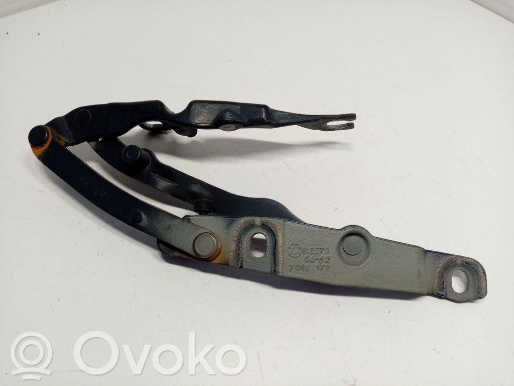 BMW Z4 E85 E86 Aizmugurējā pārsega eņģe (-ess) 
