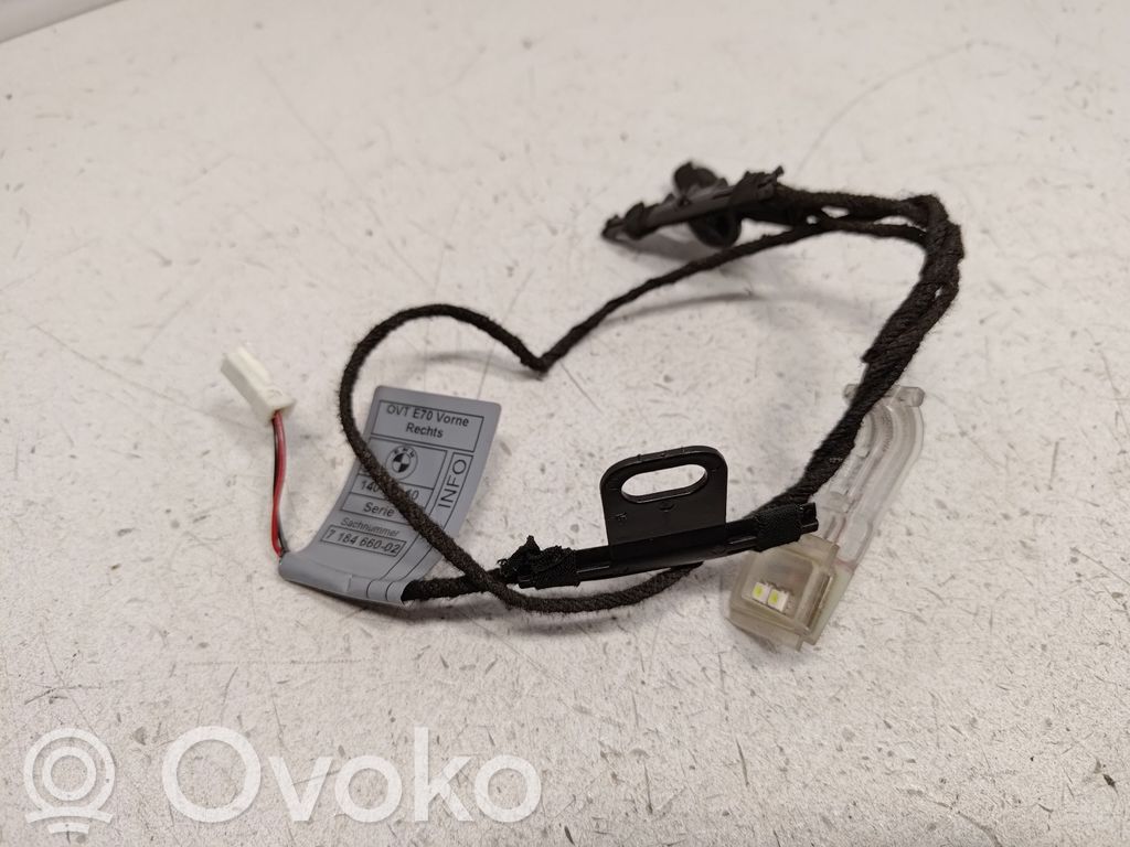 BMW X5 E70 Priekšējo durvju roktura apgaismojums (ārpusē) 