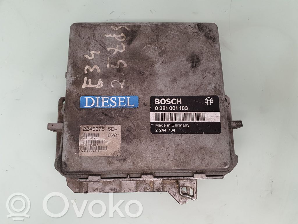 BMW 5 E34 Engine control unit/module 