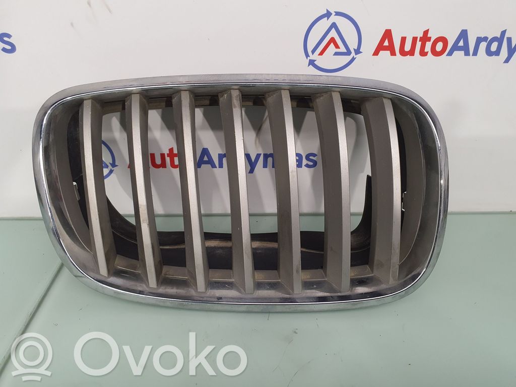 BMW X5 E70 Front grill 