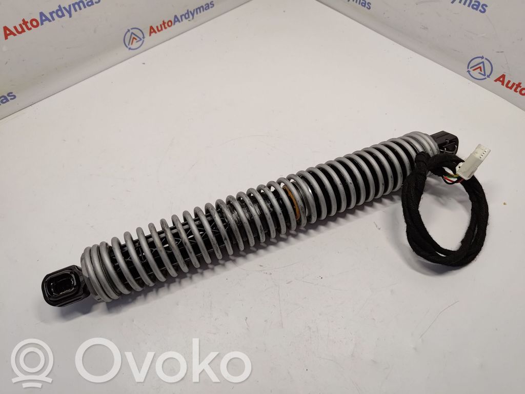 BMW 5 F10 F11 Gasdruckfeder Dämpfer Heckklappe Kofferraumdeckel 