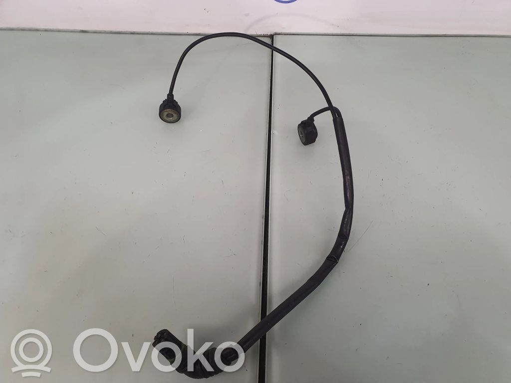 Detonation knock sensor   1709317,12141709317,13627568421