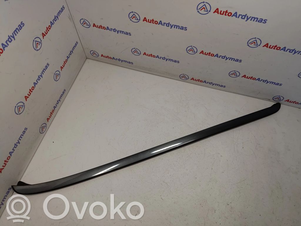 Windshield trim   51317250395