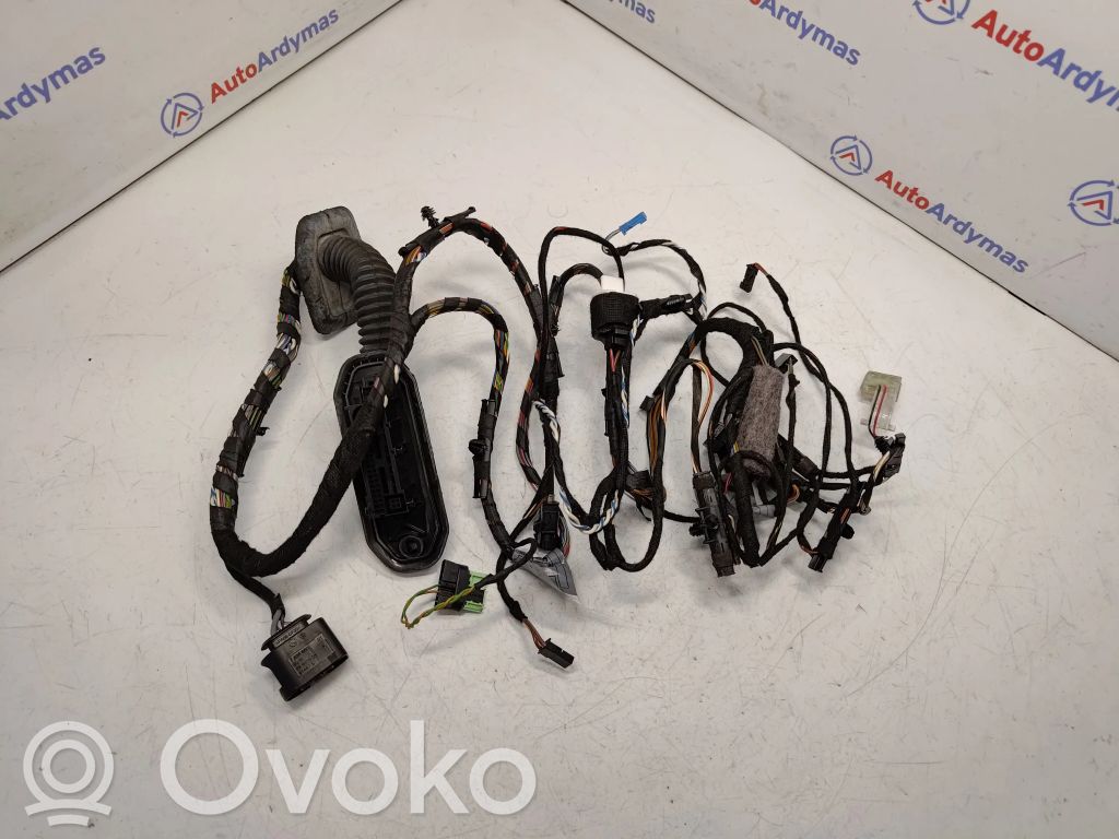 Cableado de puerta delantera   9239542,61129242076
