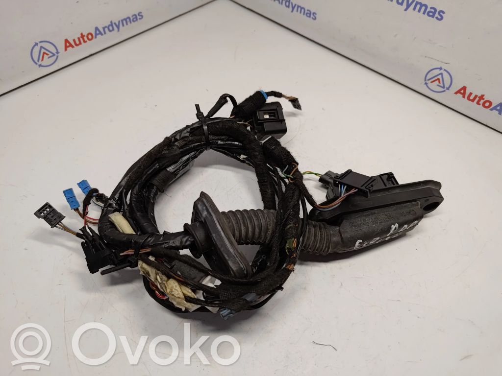 BMW X5 E70 Cableado de puerta delantera 