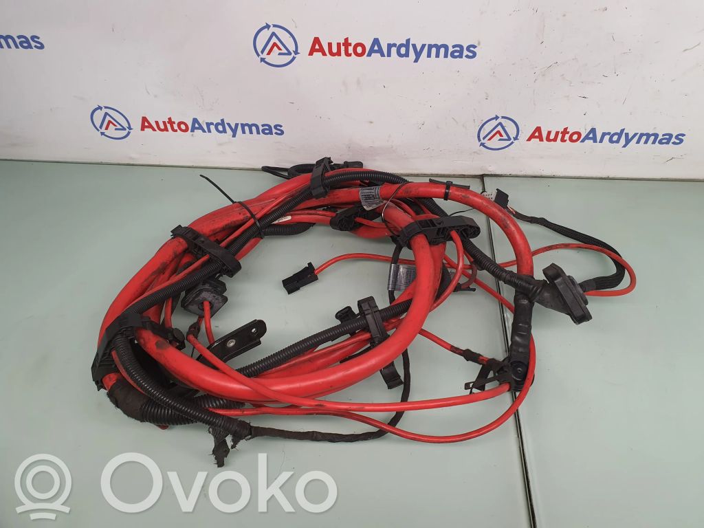 Plusa vads (akumulatora)   9154716,61129154716,6974635