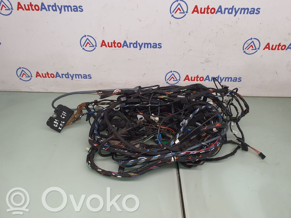 BMW 5 G30 G31 G38 Other wiring loom 