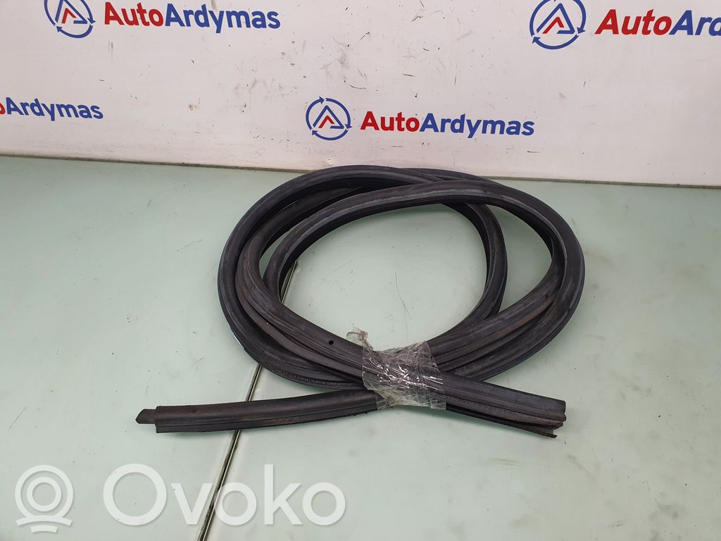 BMW 5 E60 E61 Cheder ușă spate (caroserie) 