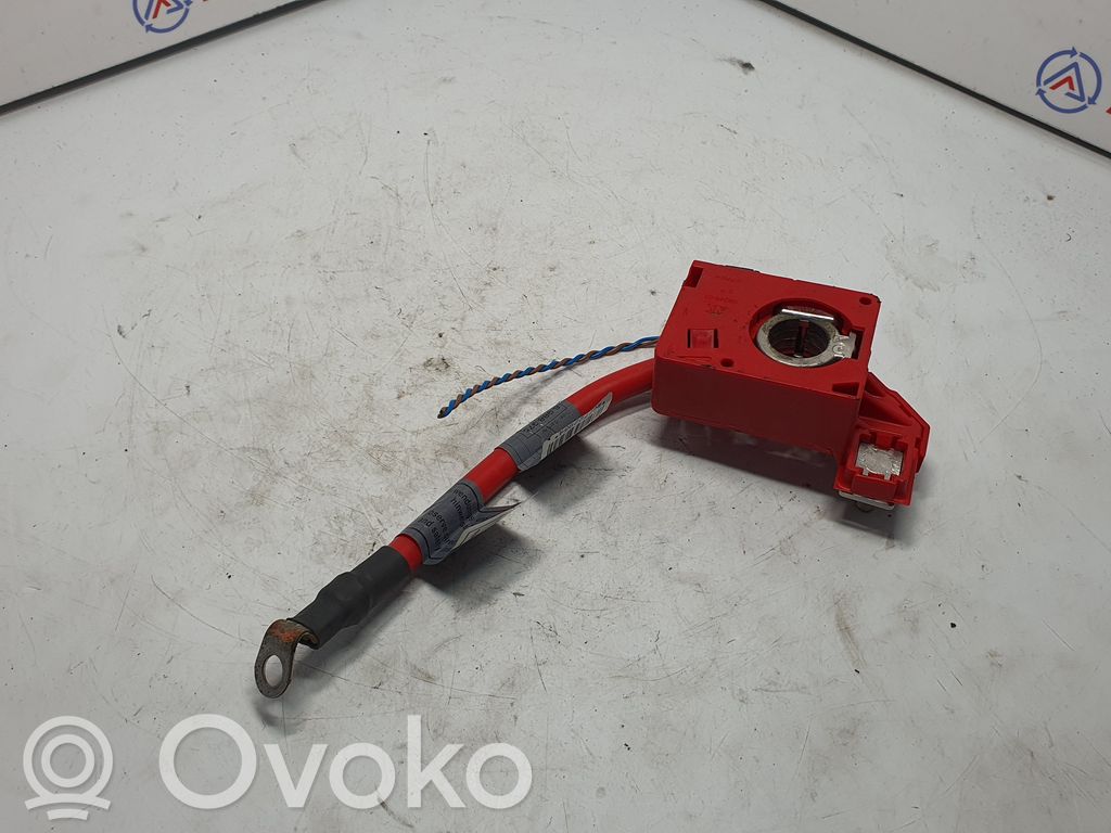 Pluskabel Batterie   6988975,61126988975,9217017,9130879