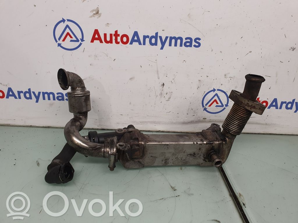 EGR dzesētājs   7790065,11717790065