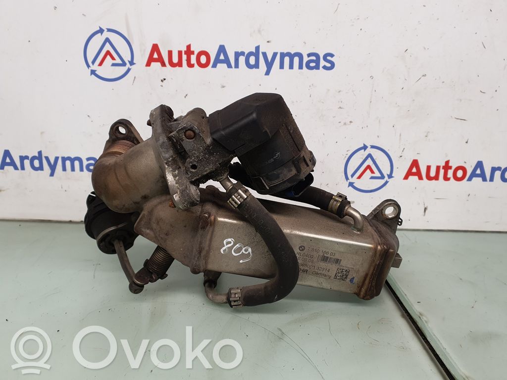 EGR dzesētājs   7810166,11717810166