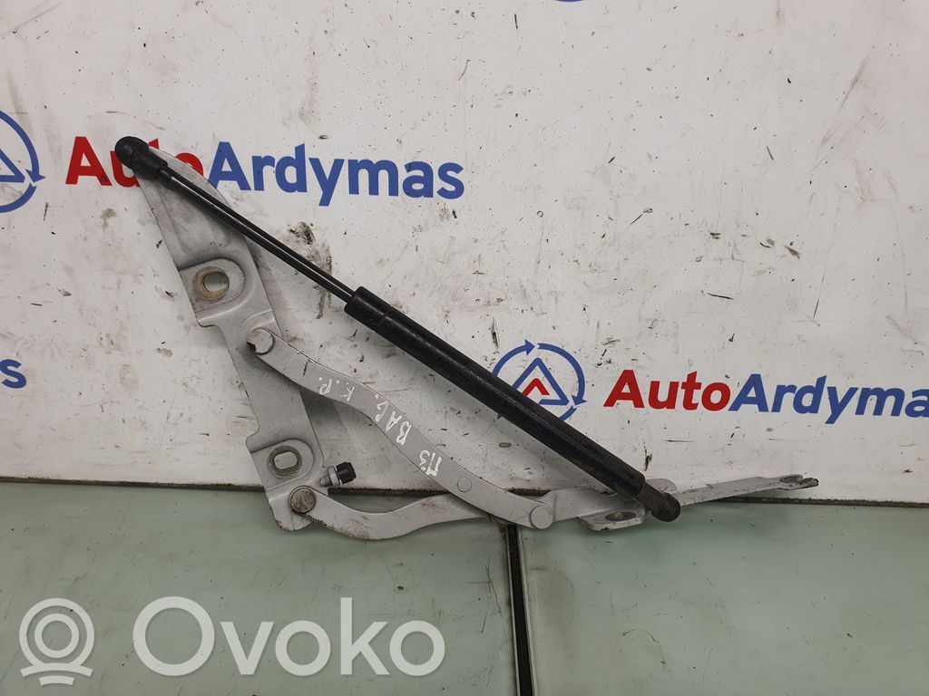 BMW M3 Aizmugurējā pārsega eņģe (-ess) 