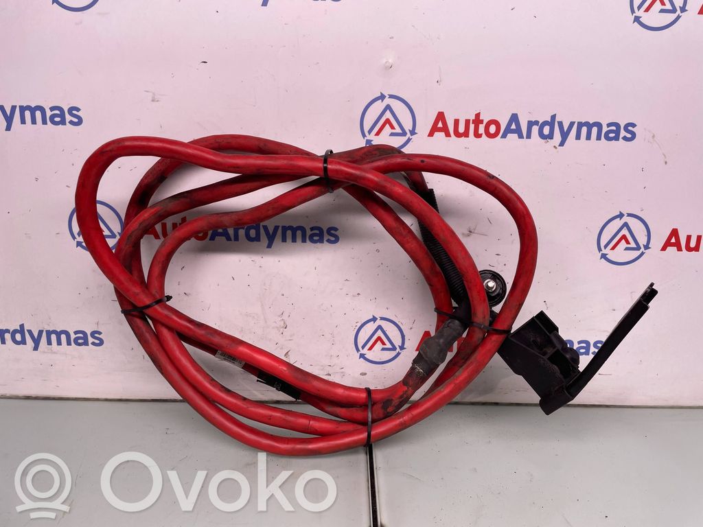 BMW X6 E71 Pliusinis laidas (akumuliatoriaus) 