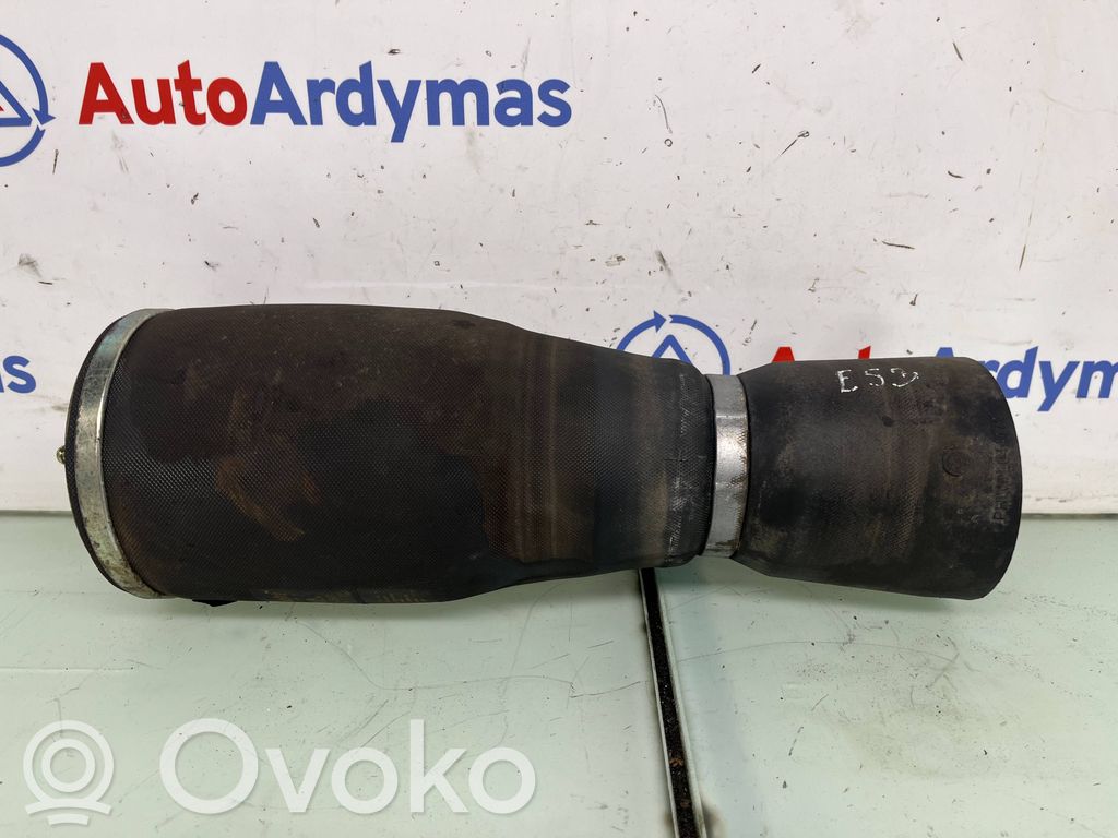 BMW X5 E53 Amortiguador/suspensión neumática trasera 