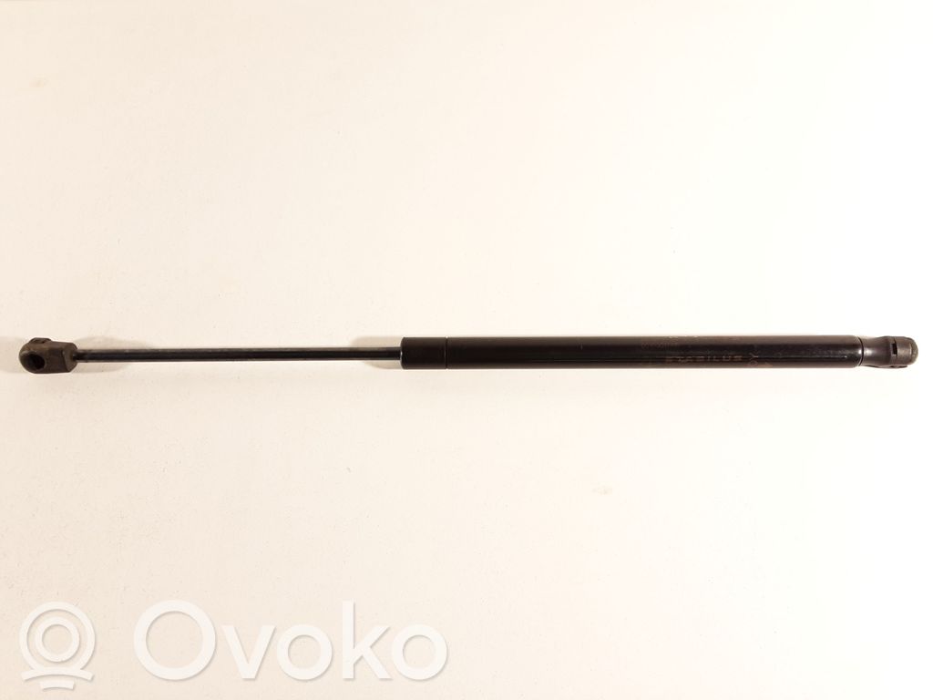 Dodge Caliber Tailgate/trunk strut/damper 