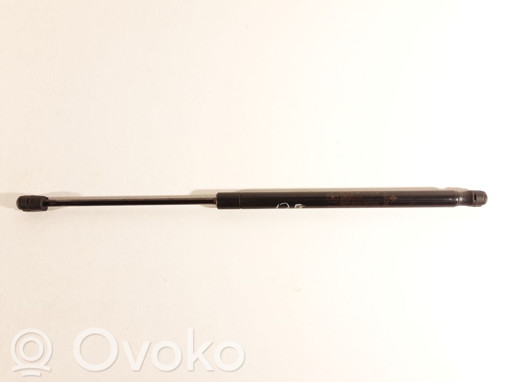 Dodge Caliber Tailgate/trunk strut/damper 