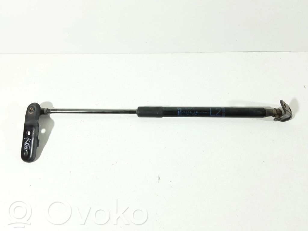 Amortyzator klapy tylnej bagażnika   689600W620,129301