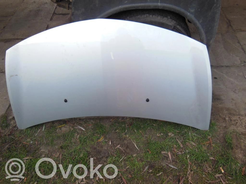 Motorhaube