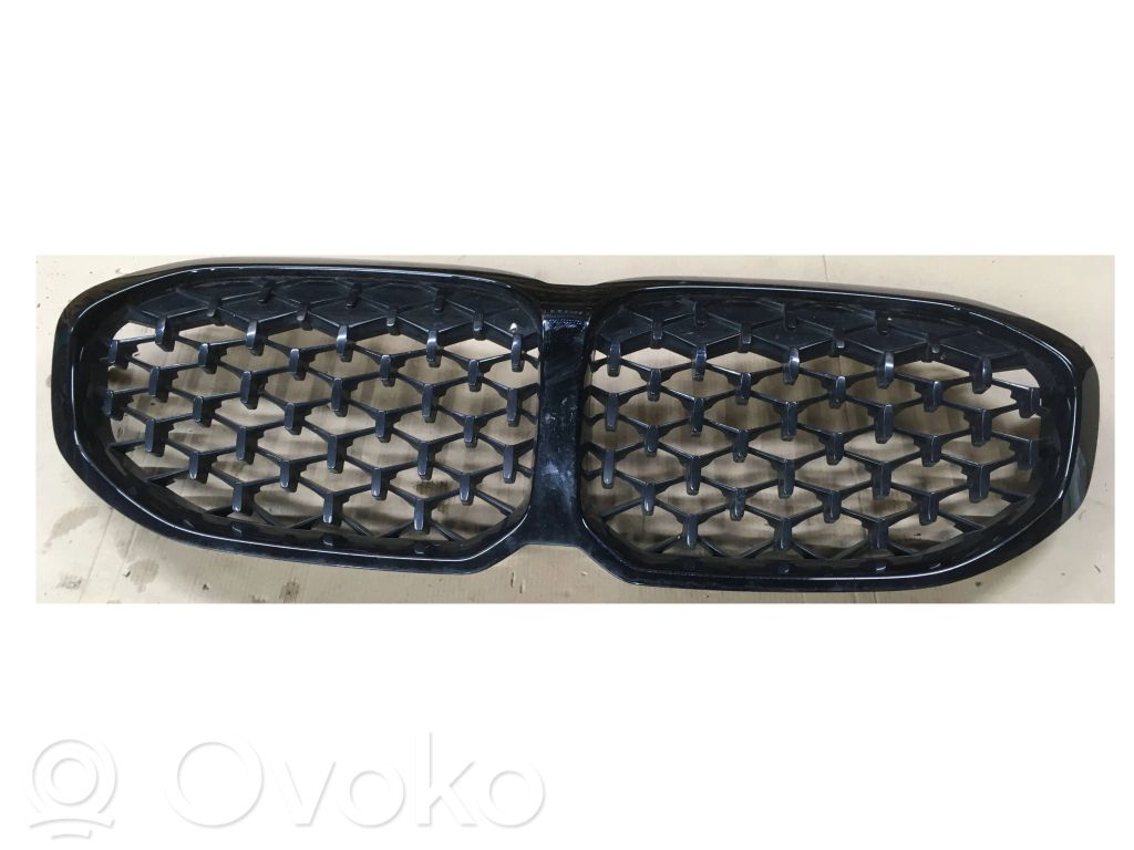 BMW 1 F40 Kühlergrill 