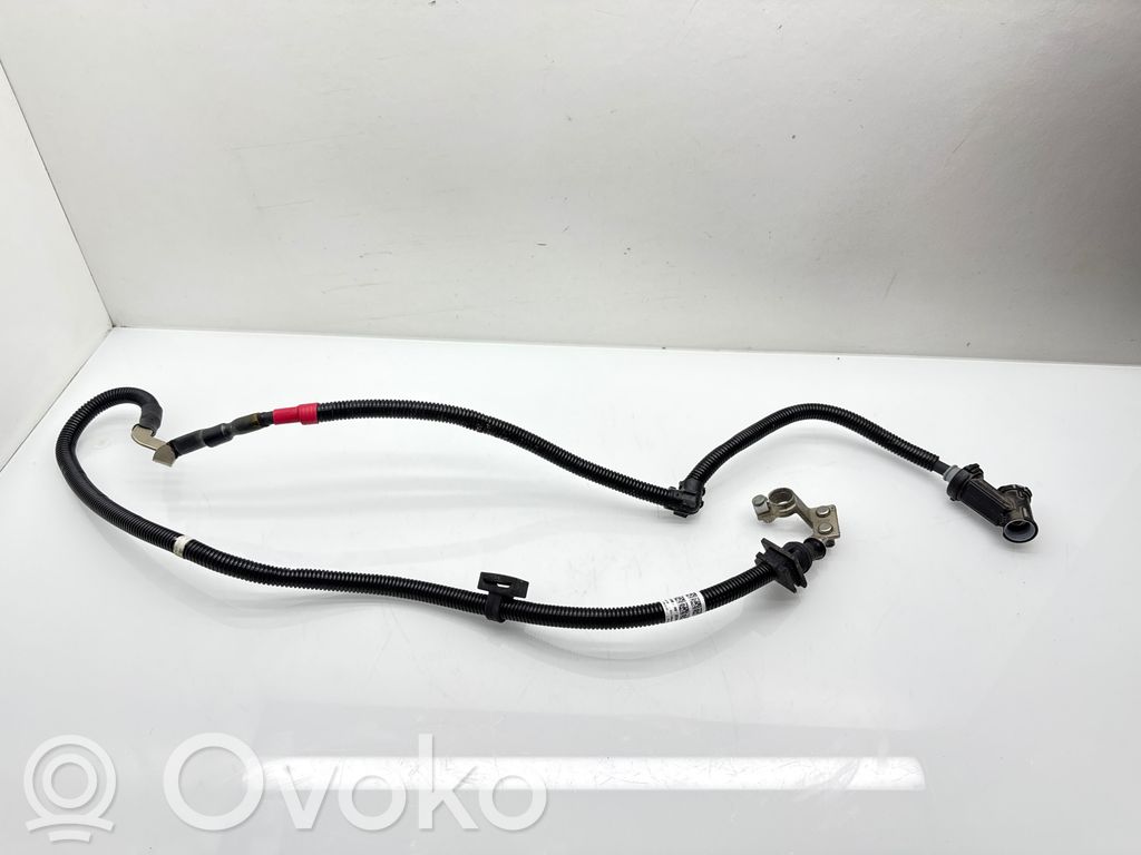 BMW 1 F40 Minus / Klema / Przewód akumulatora 