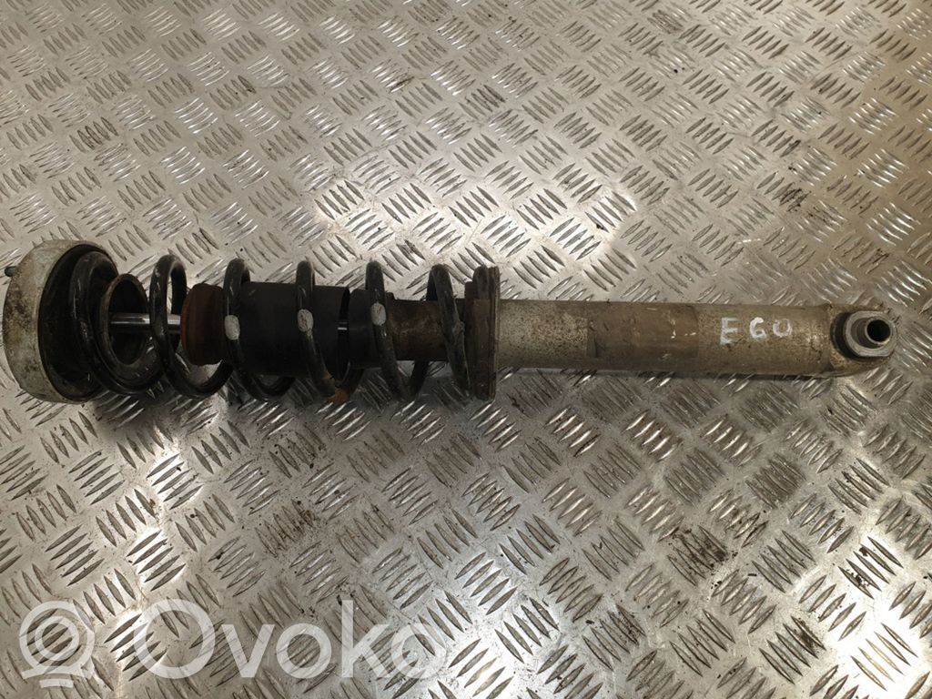 Stoßdämpfer hinten   7905314