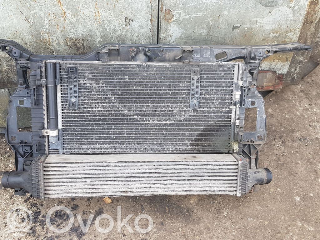 Audi A4 S4 B8 8K Radiatorių panelė 