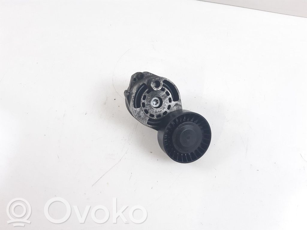 Napinacz paska wielorowkowego / Alternatora   06E903133D