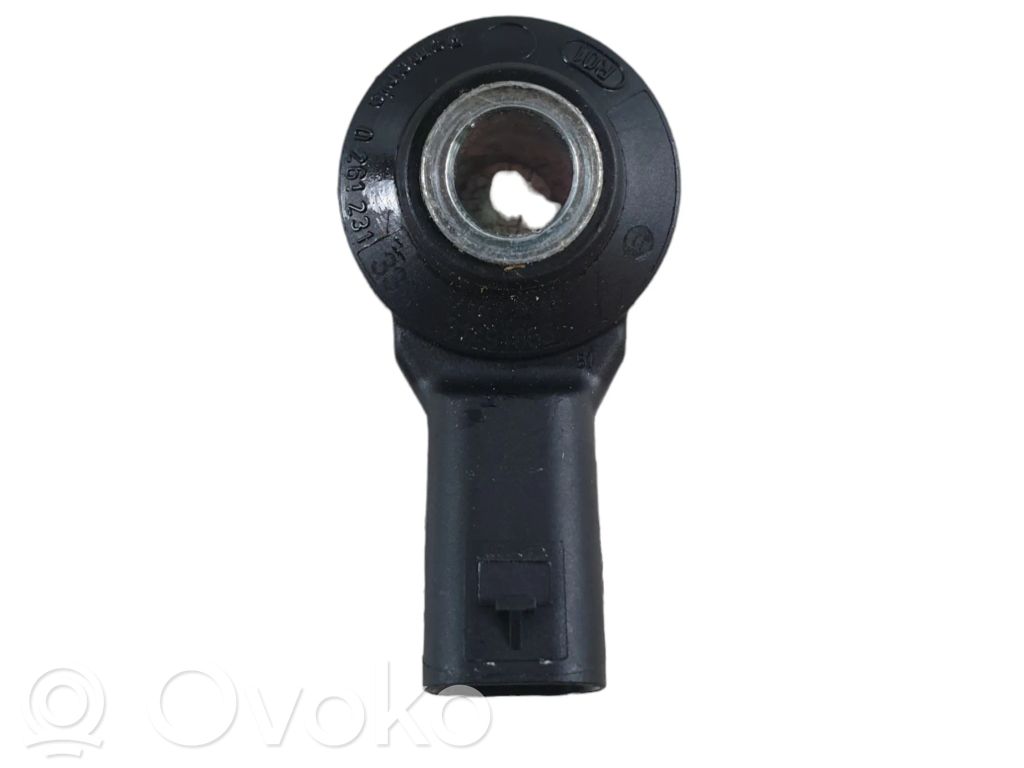 Volvo XC60 Klopfsensor 